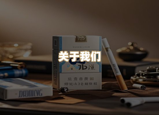 关于云歌烟网